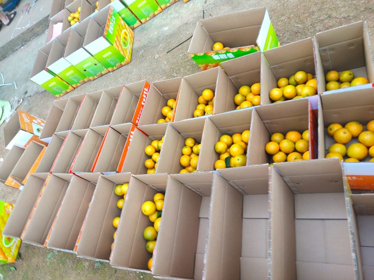 Expert of Token Changer, Ticket Eater & Prize Store— Max Games, China's Leading Manufacturer