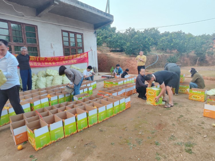 Expert of Token Changer, Ticket Eater & Prize Store— Max Games, China's Leading Manufacturer