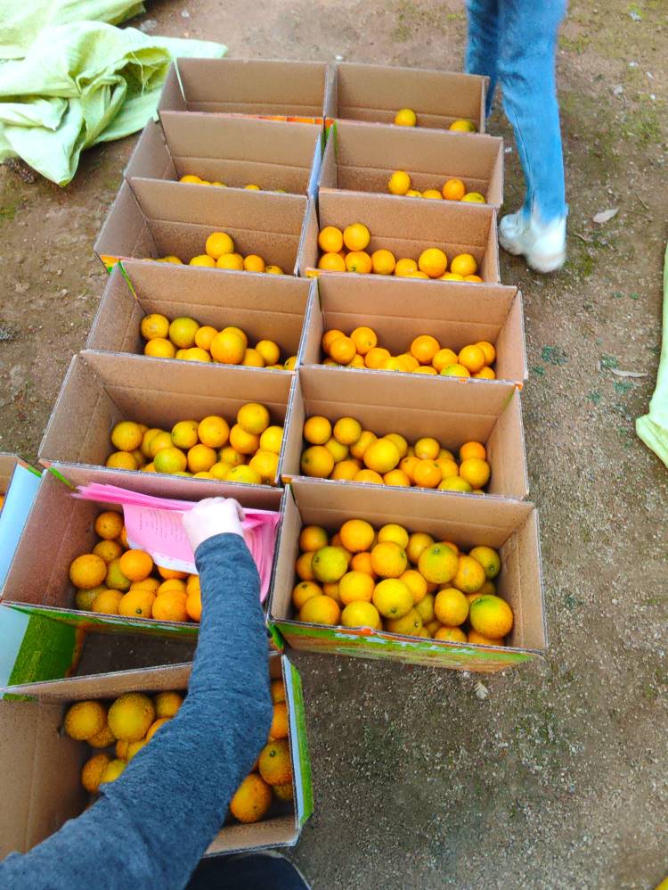 Expert of Token Changer, Ticket Eater & Prize Store— Max Games, China's Leading Manufacturer