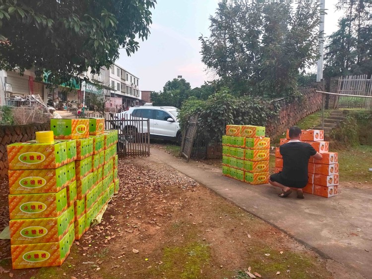 Expert of Token Changer, Ticket Eater & Prize Store— Max Games, China's Leading Manufacturer