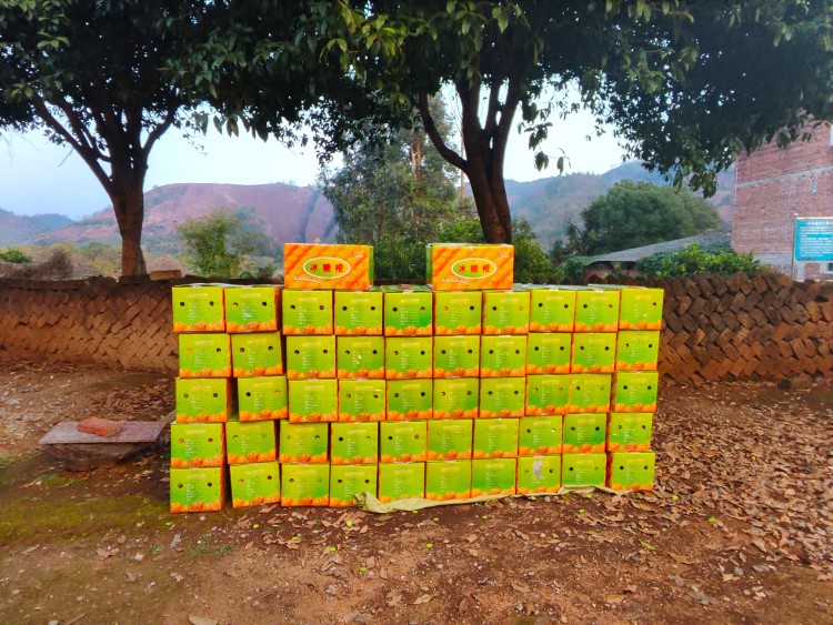 Expert of Token Changer, Ticket Eater & Prize Store— Max Games, China's Leading Manufacturer