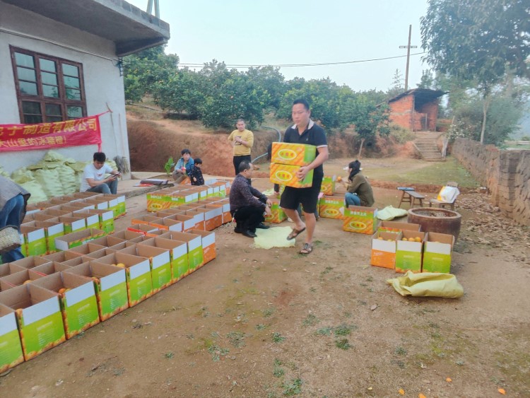 Expert of Token Changer, Ticket Eater & Prize Store— Max Games, China's Leading Manufacturer